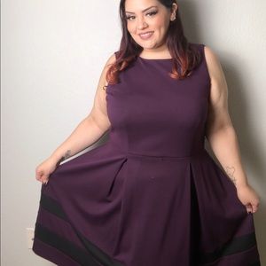 Calvin Klein Purple Plus Size Dress